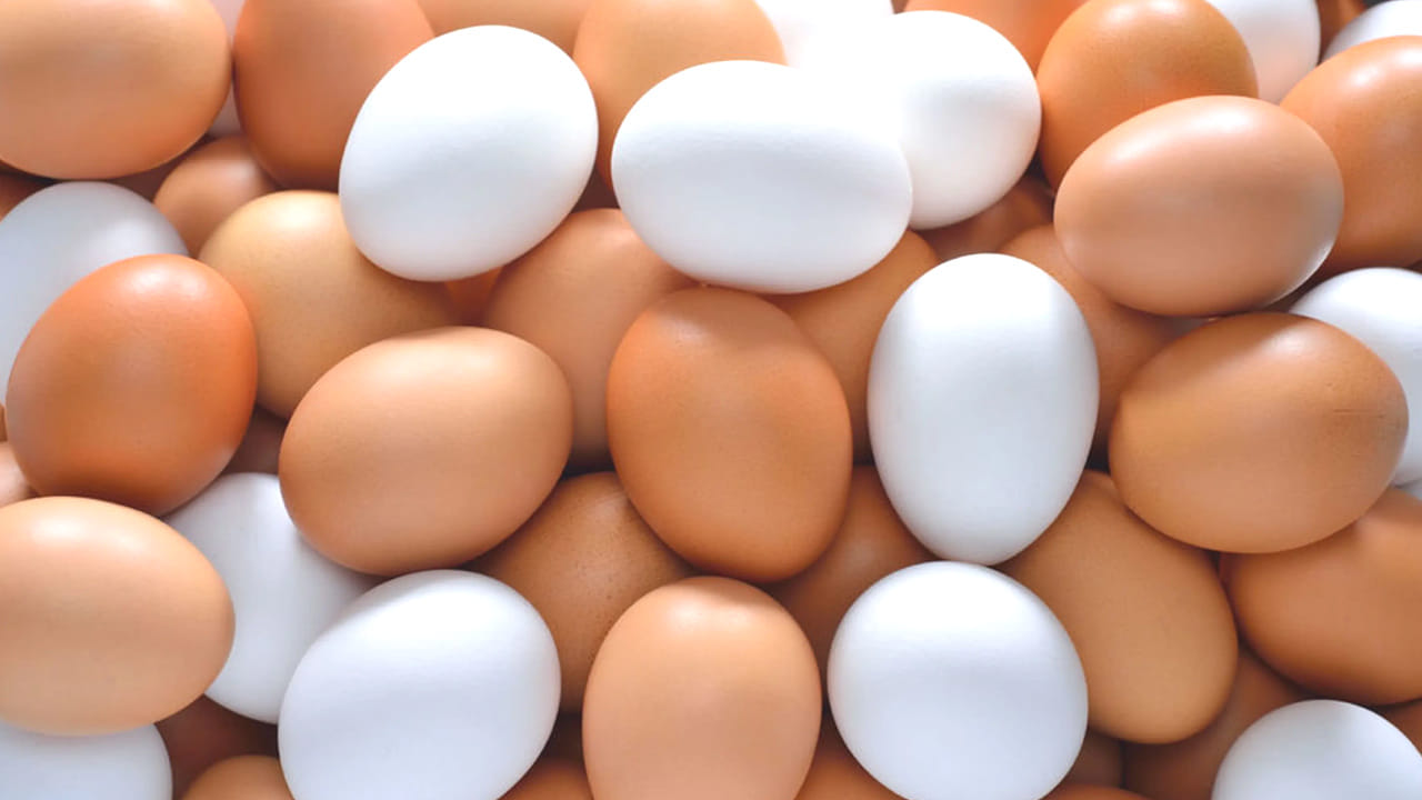 ఇక చిన్న పిల్లల విషయానికి వస్తే నాటు కోడి  గుడ్డు పెట్టడం మంచిదని నిపుణులు చెబుతున్నారు. ఎందుకంటే ఇవి పిల్లల్లో వచ్చే అనేక సమస్యల నుంచి కాపాడతాయి. అయితే , ఉడకబెట్టి తీసుకోవడం మంచిదని చెబుతున్నారు. 