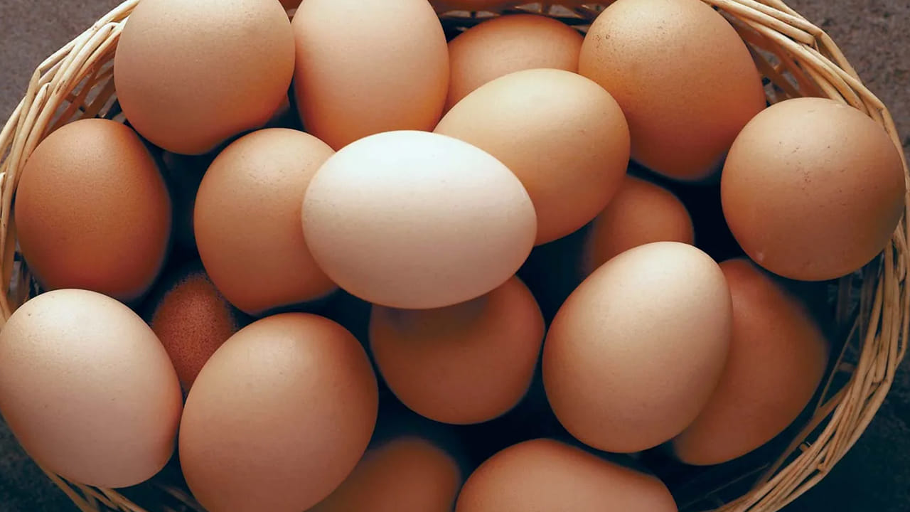 ఇంకా ఈ రెండు గుడ్లు తినే వాళ్లకి అయితే ఎన్నో ఆరోగ్య ప్రయోజనాలు ఉన్నాయి. గుండె జబ్బులను రాకుండా చేస్తుంది. 
ఇంకా చెడు కొలెస్ట్రాల్ పూర్తిగా తొలగిస్తుంది. 