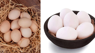 Smartphone Tips: మీ ఫోన్ బ్యాటరీని 100% ఛార్జ్ చేస్తున్నారా?.. ఇది మీ స్మార్ట్ ఫోన్ పాలిట శాపం!