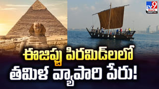 కుక్కర్ల గొడవ Vs ఓటర్ల తీర్పు! ఆ అభ్యర్థినే గెలిపించిన జనం!