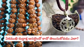 ఏకముఖి రుద్రాక్ష అసలైందో కాదో తెలుసుకోవడం ఎలా?