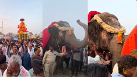 రథం ఒక్కసారిగా నిలిచిపోవడంతో ఈ ఏనుగు ఏం చేసిందంటే..?