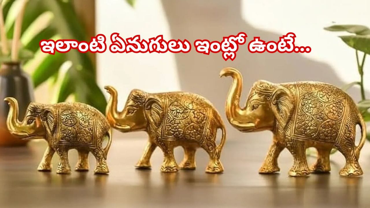 Elephant Vastu Tips: ఏనుగు విగ్రహం ఇంట్లో ఏ దిశలో పెడితే మంచిది? మీకు తెలుసా ఈ ప్రయోజనాలు! Elephant Vastu Tips: ఏనుగు విగ్రహం ఇంట్లో ఏ దిశలో పెడితే మంచిది? మీకు తెలుసా ఈ ప్రయోజనాలు!