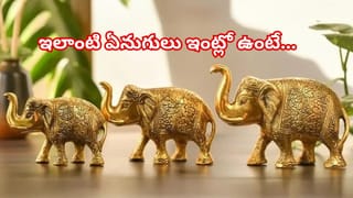 Life Lessons: జీవితంలో ఈ 2 తప్పులు చేశారో.. ఇక జీవితాంతం పశ్చాత్తాపపడాల్సిందే!