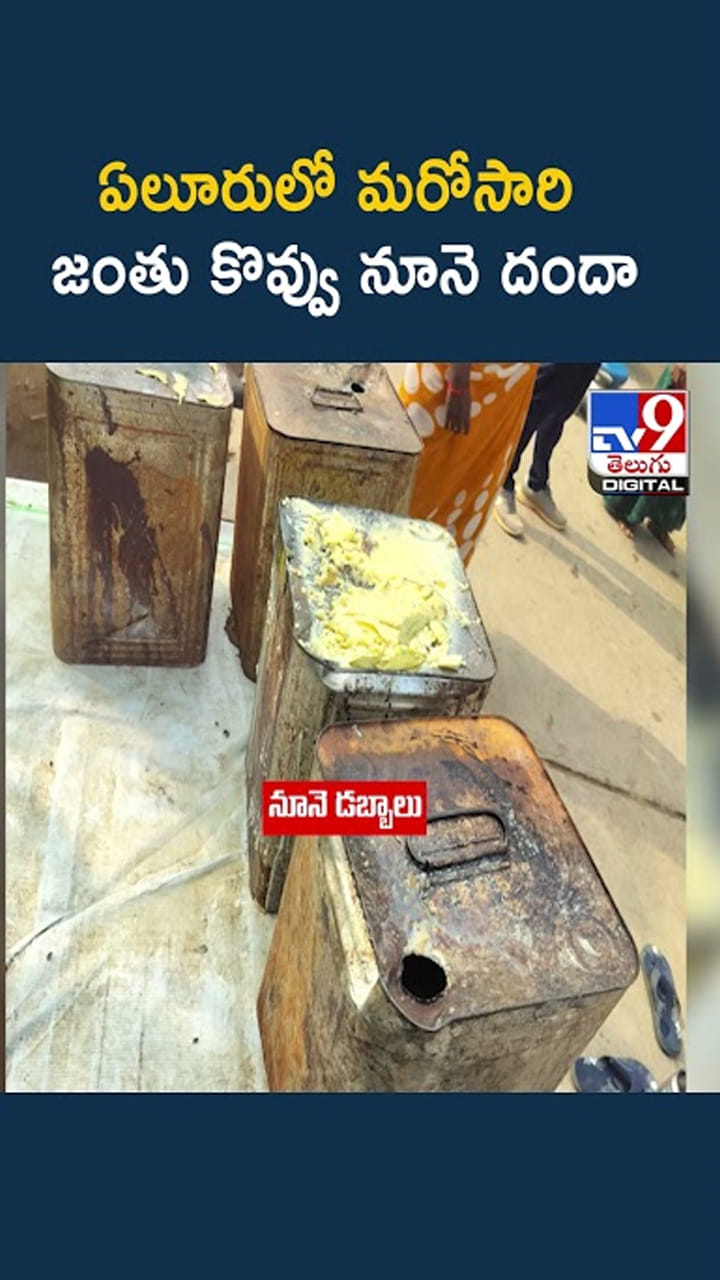 Andhra: ఏలూరులో మరోసారి జంతు కొవ్వు నూనె దందా -