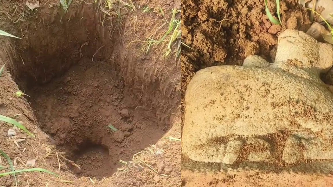 Andhra: పొలంలో ఇదేం పనిరా.. పొద్దున్నే చేనుకు వెళ్లి కంగుతిన్న రైతు