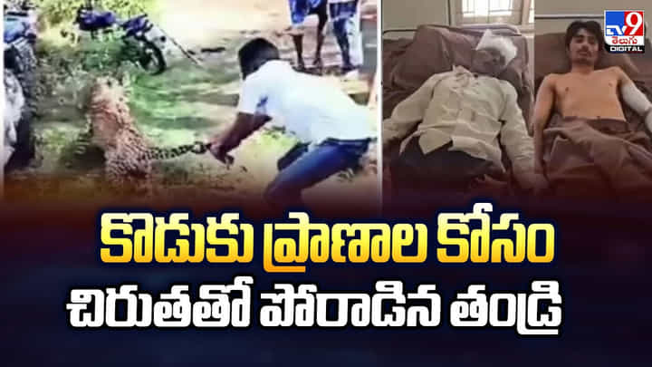 కొడుకు ప్రాణాల కోసం చిరుతతో పోరాడిన తండ్రి.. చివరికి కొడుకు ప్రాణాల కోసం చిరుతతో పోరాడిన తండ్రి.. చివరికి
