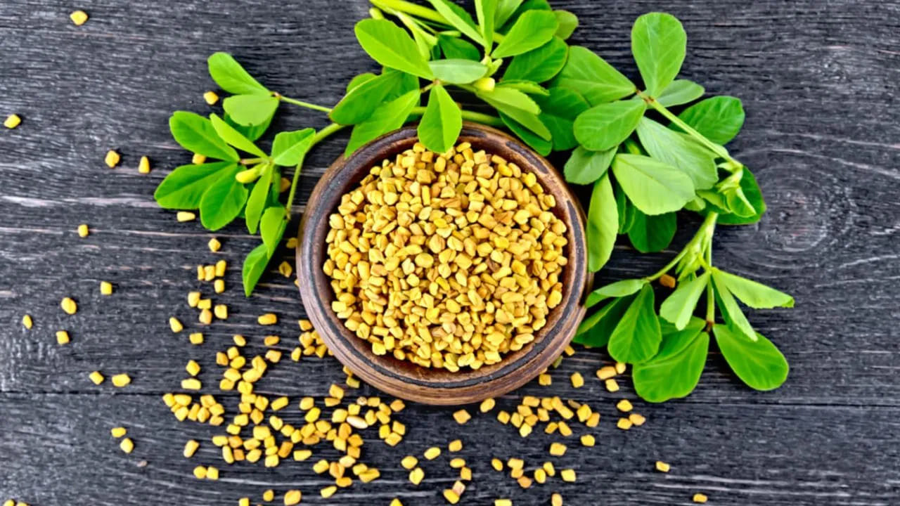 చెడు కొలెస్ట్రాల్‌కు చెక్: గుండె ఆరోగ్యాన్ని మెరుగుపరచడంలో మెంతి నీరు కీలక పాత్ర పోషిస్తుంది. ఇందులోని యాంటీఆక్సిడెంట్లు శరీరంలోని చెడు కొలెస్ట్రాల్‌ను తగ్గించి, ధమనుల్లో అడ్డంకులు ఏర్పడకుండా చూస్తాయి. 11 రోజుల నిరంతర వాడకం వల్ల రక్త ప్రసరణ మెరుగుపడుతుంది.