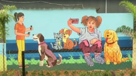 మూగజీవాల కోసం ముచ్చటైన పార్కు.. ఎక్కడంటే?