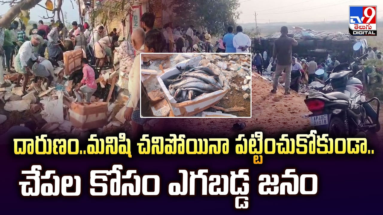 దారుణం.. మనిషి చనిపోయినా పట్టించుకోకుండా.. చేపల కోసం ఎగబడ్డ జనం