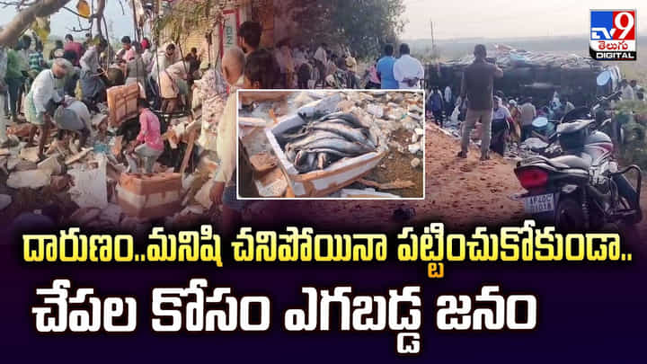 దారుణం.. మనిషి చనిపోయినా పట్టించుకోకుండా.. చేపల కోసం ఎగబడ్డ జనం దారుణం.. మనిషి చనిపోయినా పట్టించుకోకుండా.. చేపల కోసం ఎగబడ్డ జనం