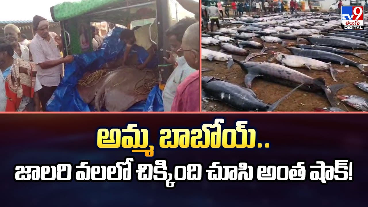 అమ్మ బాబోయ్‌.. జాలరి వలలో చిక్కింది చూసి అంత షాక్‌ వీడియో