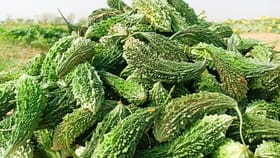 పొరపాటున కూడా వీటిని కాకరకాయలతో కలిపి తినకండి.. లేదంటే