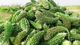 Omelet Recipe: రొటీన్ ఆమ్లెట్ బోర్‌ కొడుతుందా..  ఇలా ట్రై చేయండి.. మళ్లీ మళ్లీ ఇదే తింటారు?