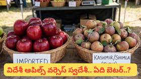 విదేశీ ఆపిల్స్ తింటే మంచిదా.. స్వదేశీనా..? వైద్య నిపుణుల మాటేంటి?