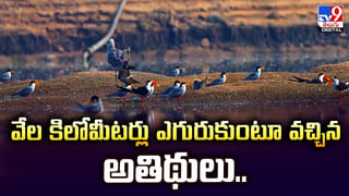 స్మశానంలో దెయ్యలతో కలసి మనుషులు మందు పార్టీ.. ట్రెండ్ అవుతున్న వీడియో