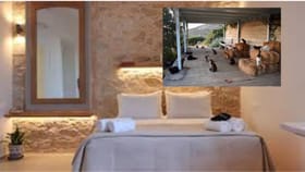 సముద్ర తీరంలో ఉచిత వసతి.. పిల్లుల ప్రేమికులకు ఇది ఒక స్వర్గం!