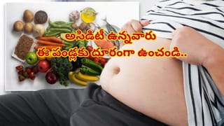 Instant Idli Mix: గ్రైండర్‌తో పనిలేదు.. ఈ ఇన్‌స్టంట్ ఇడ్లీ మిక్స్‌తో నిమిషాల్లో బ్రేక్‌ఫాస్ట్ రెడీ!