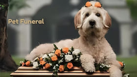 అంతులేని శోకంతో పెంపుడు శునకానికి దహన సంస్కారాలు! వీడియో..