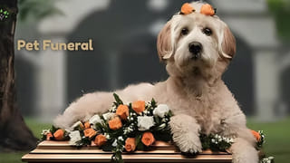 Watch Video: అంతులేని శోకంతో పెంపుడు శునకానికి దహన సంస్కారాలు! వీడియో..