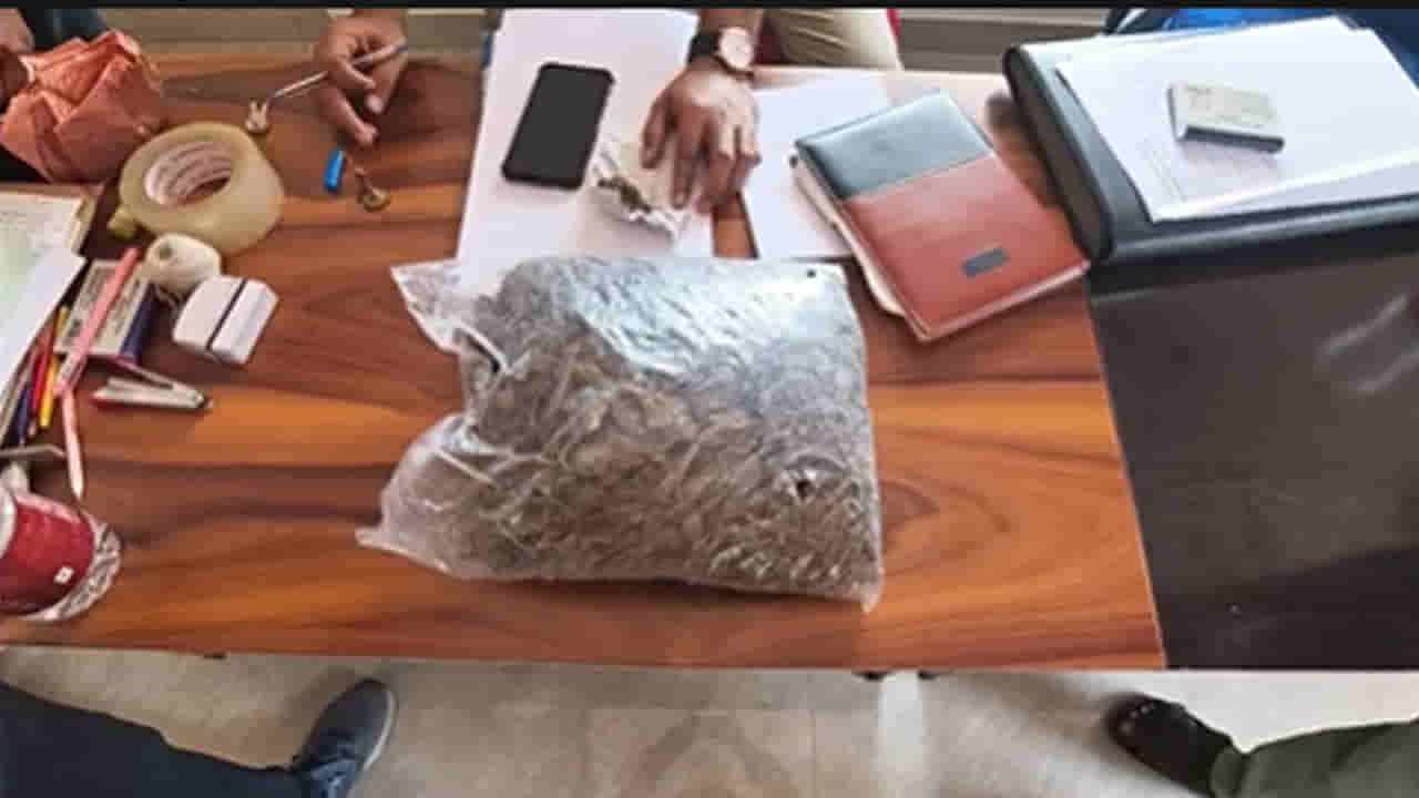 ఆ ఫ్యాక్టరీలో జోరుగా గంజాయి అమ్మకాలు.. కూలీలు, ఉద్యోగులే టార్గెట్..! కట్ చేస్తే..