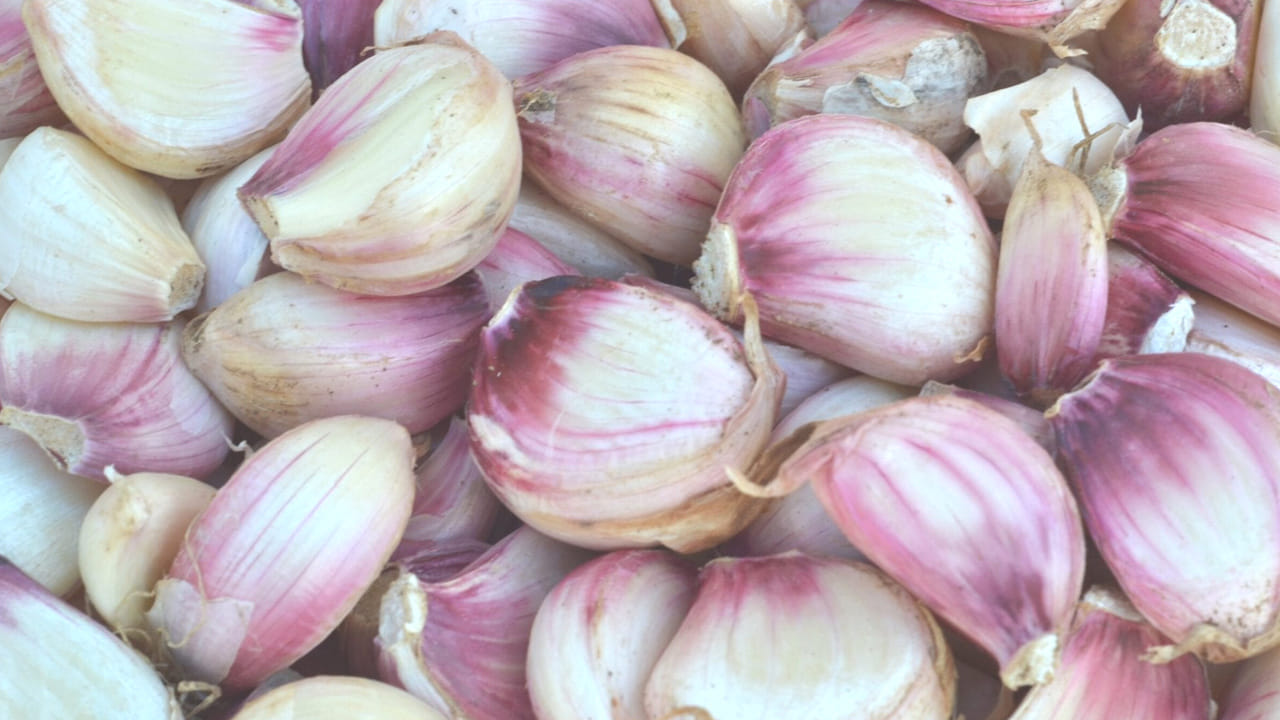 మనం చేసుకునే ప్రతి కూరలో ఉల్లిపాయలు, అల్లం, వెల్లుల్లిని వాడుతుంటాము. ఎందుకంటే, దీనిని మన ఫుడ్ లో చేర్చుకుంటే అనారోగ్య సమస్యలు రాకుండా ఉంటాయి. 
