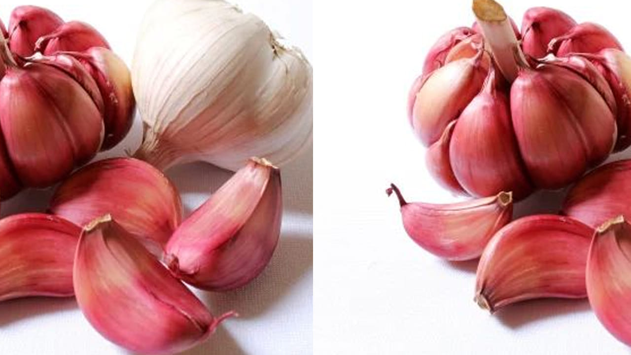 పర్వత వెల్లుల్లిని కొందరు హిమాలయన్ వెల్లుల్లి అని కూడా అంటారు. ఇవి మనకీ ఎక్కడా కూడా దొరకవు. హిమాలయ ప్రాంతంలో ఎత్తైన పర్వతాలలో మాత్రమే ఈ పర్వత  వెల్లుల్లిని ఏడాదికొకసారి మాత్రమే పండిస్తారు.