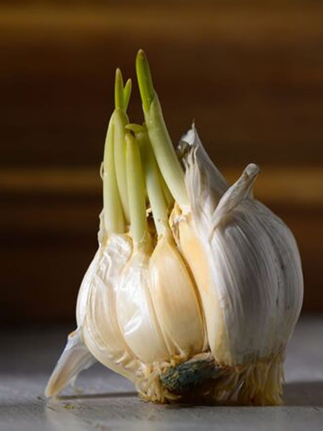 మొలకెత్తాయని వీటిని పడేస్తున్నారా? ఆగండాగండీ..