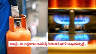 NASA సూచించిన ఈ మొక్కలతో కాలుష్యానికి చెక్ పెట్టండి! ఇంటిని ఆక్సిజన్ హబ్‌గా మార్చే చిట్కాలివే!