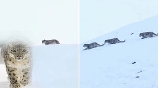 Budget 2026: తక్షణ ఊరట నుంచి భవిష్యత్‌ వృద్ధికి పాలసీ బ్రిడ్జ్