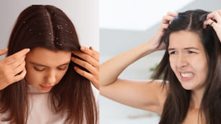 Biryani Leaf Benefits: వంటల్లో ఈ ఆకు కేవలం సువాసనకే కాదు.. ఆ సమస్యలున్న వారికి బంపర్‌బెనిఫిట్స్.. తెలిస్తే..