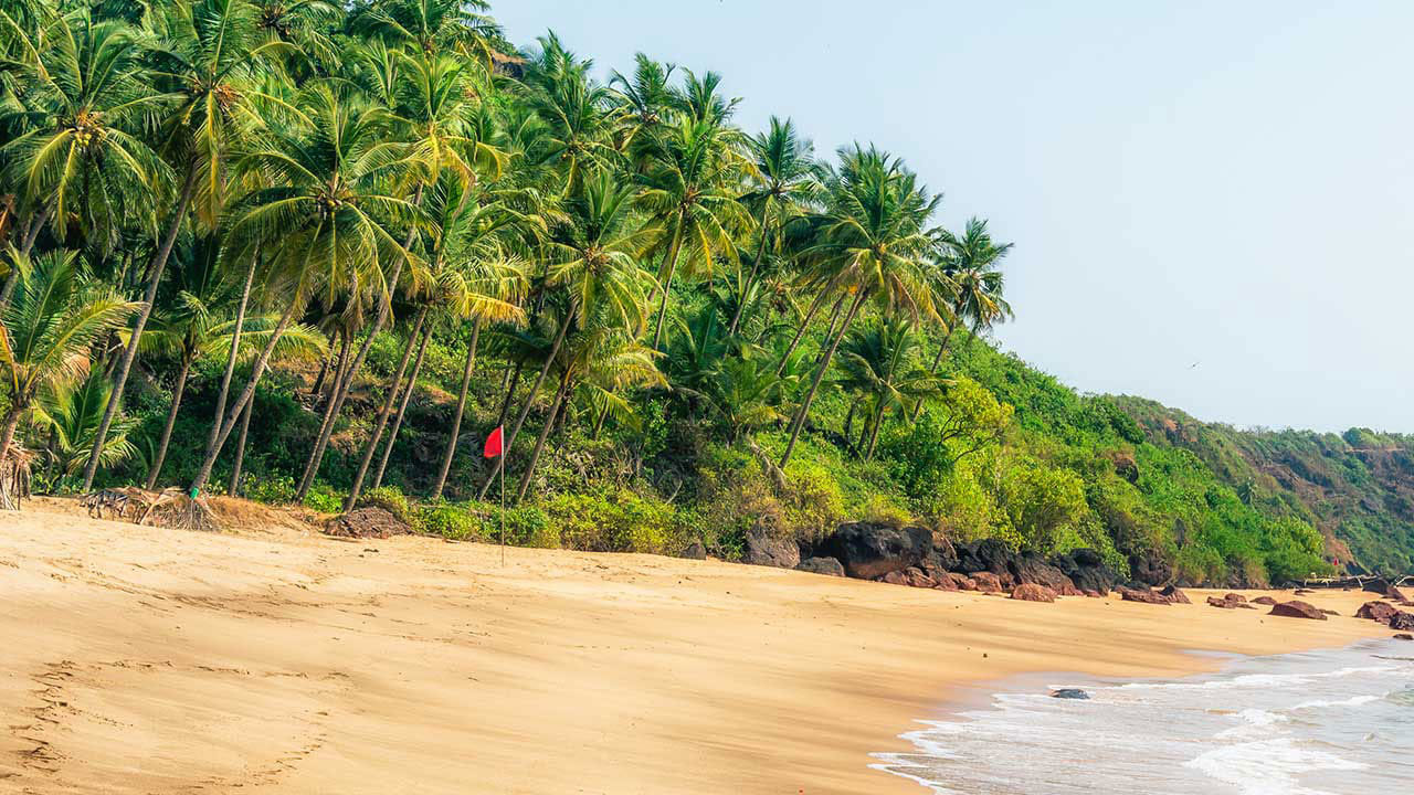 తెలుగు రాష్ట్రాల నుంచి వేలాది మంది పర్యాటకులు గోవాకు వెళ్తుంటారు. స్నేహితులు లేదా ఫ్యామిలీతో గోవా వెళ్లి హాయిగా గడుపుతుంటారు. ఇలాంటివారికి రైల్వేశాఖ, ఆర్టీసీ అనేక ప్రత్యేక ప్యాకేజీలు తీసుకొస్తుంది. తక్కువ ధరకే అన్నీ ప్రదేశాలను సందర్శించేలా ఈ స్పెషల్ ప్యాకేజీలను ప్రవేశపెడుతున్నాయి. జర్నీ, వసతి, ఆహారం గురించి ఎలాంటి ఇబ్బందులు పడుకుండా సౌకర్యవంతంగా వెళ్లి రావొచ్చు. తాజాగా గోవా వెళ్లాలనుకునేవారి కోసం టీఎస్‌ఆర్టీసీ అద్భుతమై ప్యాజీని తీసుకొచ్చింది