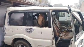 స్కార్పియోలో వచ్చిన దొంగలు.. ఏం ఎత్తుకెళ్లారో తెలుసా..?