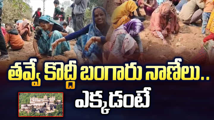 తవ్వే కొద్దీ బంగారు నాణేలు.. పరుగు పరుగున వెళ్తున్న జనాలు.. ఎక్కడంటే తవ్వే కొద్దీ బంగారు నాణేలు.. పరుగు పరుగున వెళ్తున్న జనాలు.. ఎక్కడంటే