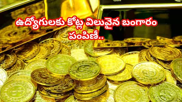 ఉద్యోగుల కోసం స్వర్ణోత్సవం.. గోల్డ్తో సర్ప్రైజ్ చేసిన కంపెనీ..100మందికి పైగా జాక్పాట్..!