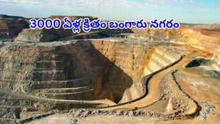 Viral Video: కోతిని వెంటాడుతూ చెట్టు ఎక్కిన పెద్ద పులి.. చివర్లో ట్విస్ట్ మీరు ఊహించలేరు.