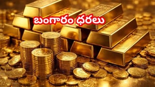 Andhra Pradesh: ఏపీకి వాతావరణ శాఖ బిగ్ అలర్ట్.. ఈ జిల్లాల్లో వర్షాలు.. పిడుగులు పడే ఛాన్స్..
