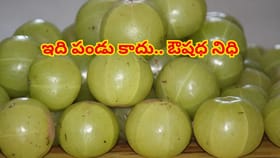 పండు కాదు.. పొషకాల పుట్ట! ప్రతిరోజూ తిన్నారంటే..ఆ సమస్యలు పరార్