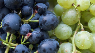 డైలీ ఈ తప్పులు చేస్తే చెవులు పోతాయ్.. చెవిటివారు కాకముందే జాగ్రత్త పడండి..