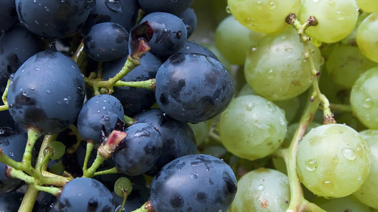Grapes