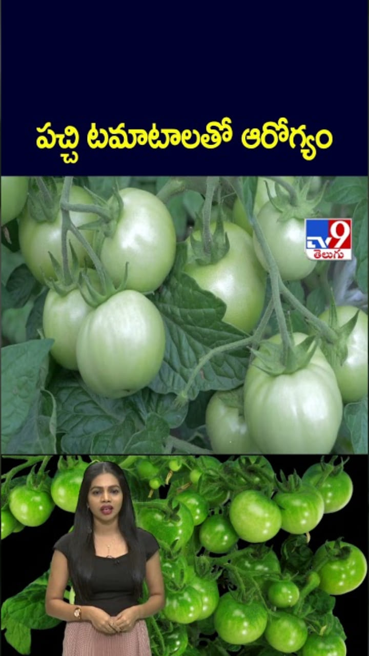 Green Tomato: ప‌చ్చి టమాటాలు తింటే.. అద్భుత ఆరోగ్య ప్రయోజనాలు