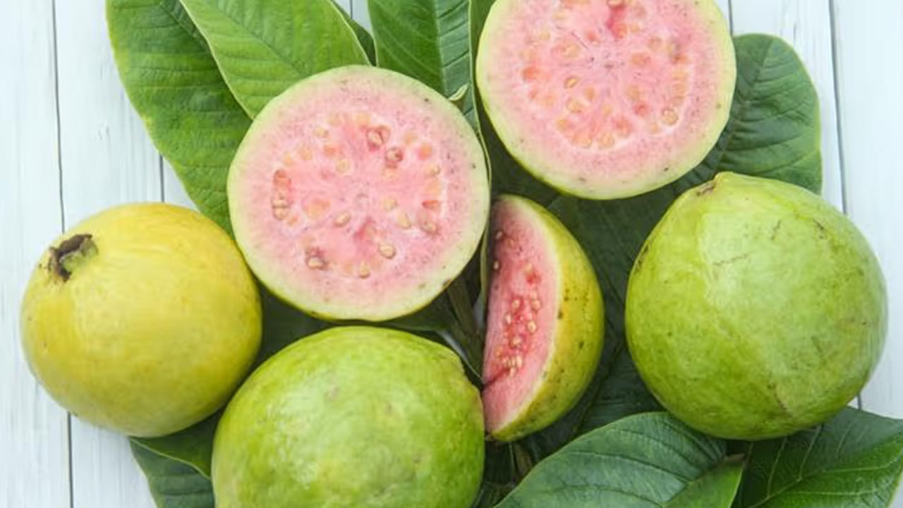 కిడ్నీలో రాళ్లు:  జామ కాయలో పొటాషియం ఎక్కువగా ఉండటం కిడ్నీలో రాళ్లు మిమ్మల్ని ఇబ్బంది పెడతాయి. కాబట్టి, వారంలో ఒకసారి మాత్రమే తినండి.  