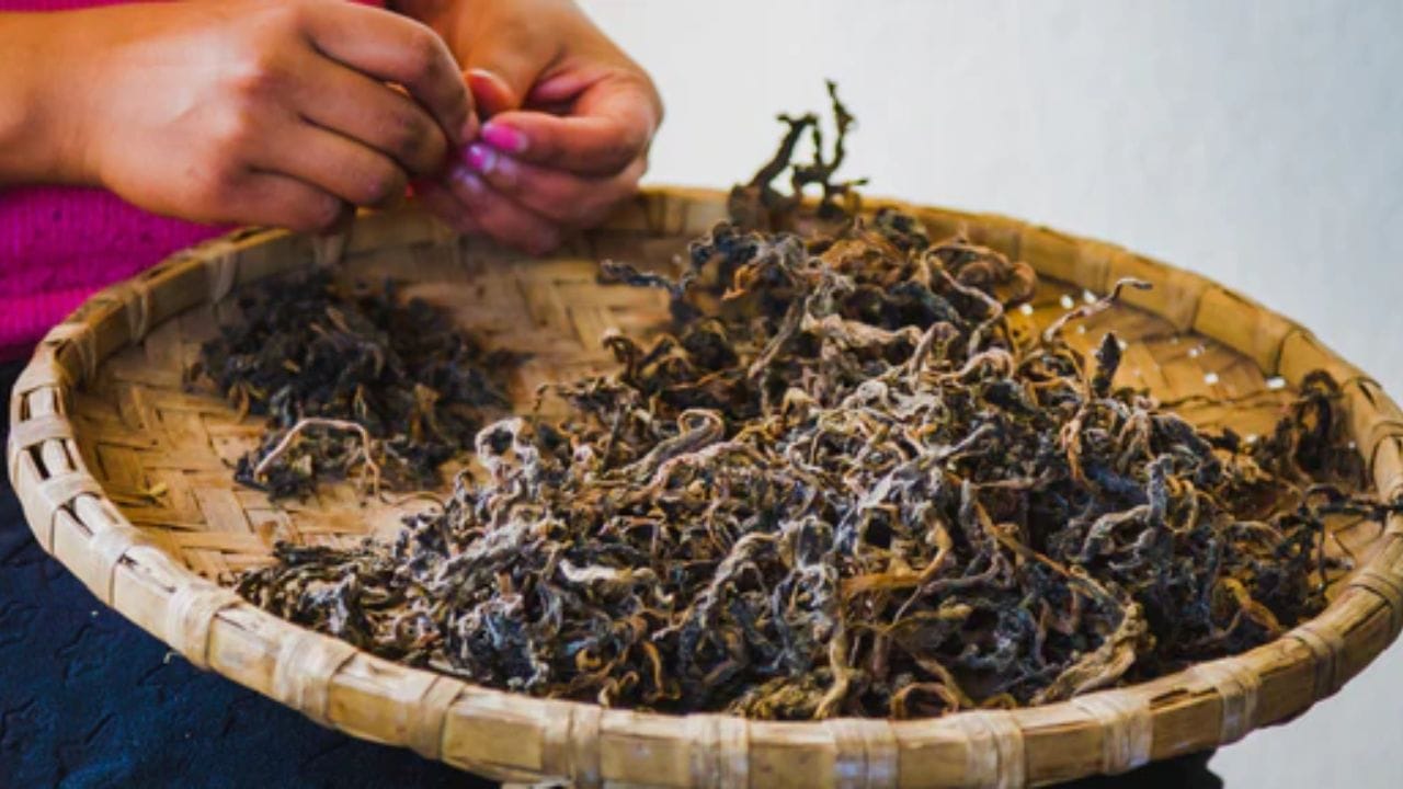 గుండ్రుక్: హిమాచల్ ప్రదేశ్ ప్రాంతాలలో ప్రత్యేకంగా తయారుచేసే ఈ పులియబెట్టిన ఆహారాన్ని ఆవాలు లేదా ఆకు కూరలతో తయారు చేస్తారు. దీనిని ఎండబెట్టి, సూప్ లేదా ఊరగాయగా ఉపయోగిస్తారు. గుండ్రుక్ కడుపు ఆరోగ్యంతో పాటు అనేక ఇతర ఆరోగ్య ప్రయోజనాలను అందిస్తుంది. 