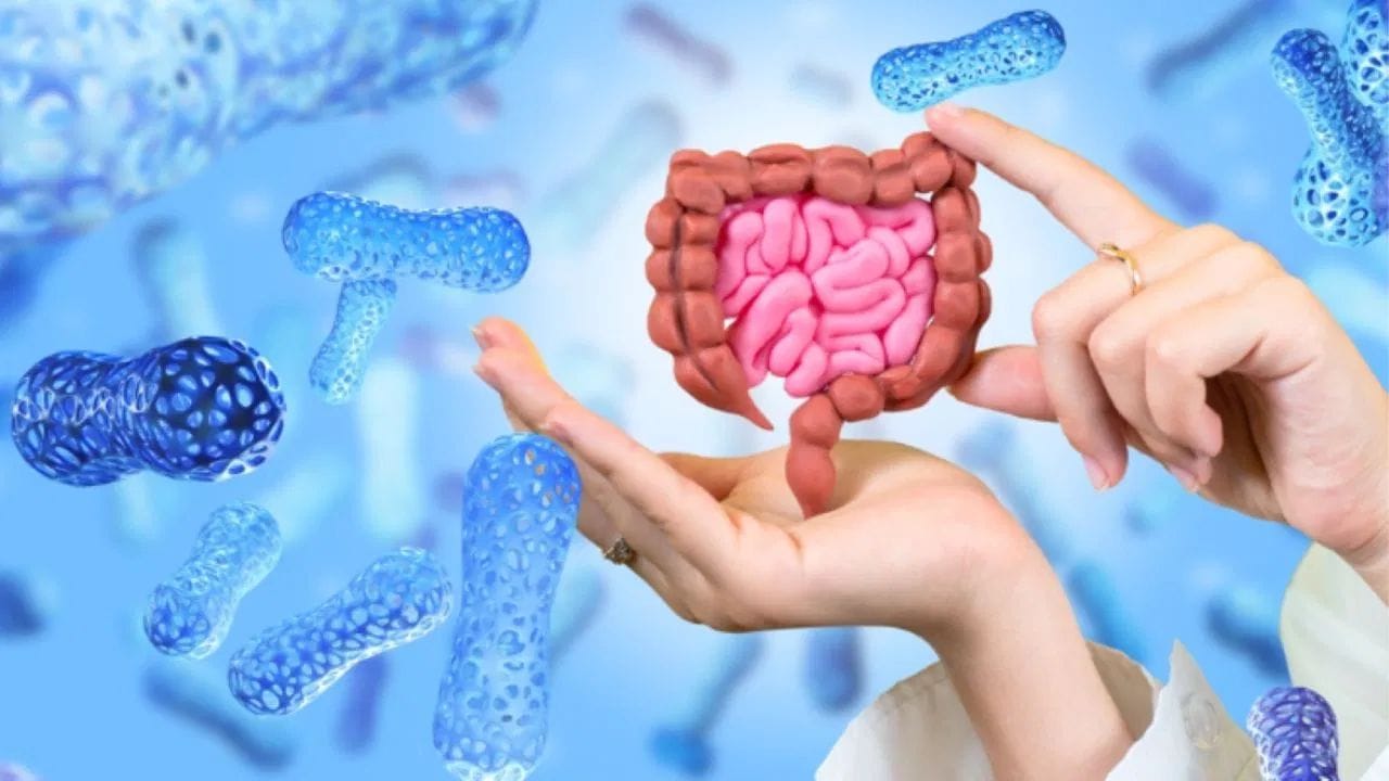 నేటి కాలంలో పేగు ఆరోగ్యాన్ని కాపాడుకోవడం చాలా ముఖ్యమైన విషయంగా మారింది. కడుపు ఆరోగ్యం బాగుంటే జీర్ణవ్యవస్థ కూడా బలంగా ఉంటుంది. పులియబెట్టిన ఆహారాలు దీనికి చాలా ముఖ్యమైనవి, ఎందుకంటే ఈ ఆహారాలలో ఉండే ప్రోబయోటిక్స్ కడుపులోని మంచి బ్యాక్టీరియాను బలోపేతం చేస్తాయి.  