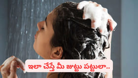 మీరు ప్రతిరోజూ తలస్నానం చేస్తున్నారా..? షాంపు వాడితే ఏది బెటర్..?