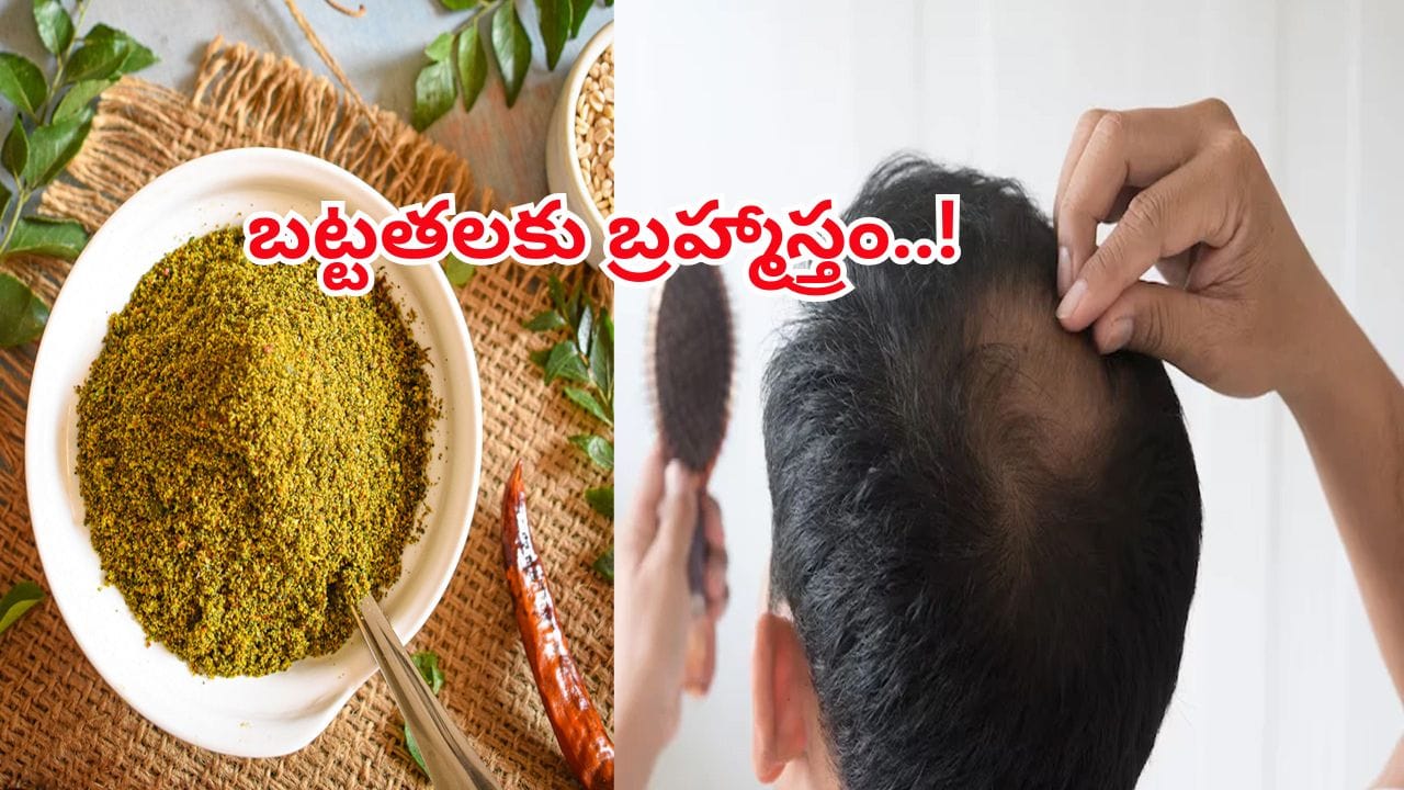 ఈ ఒక్క ఆకు బట్టతల మీద కూడా జుట్టు పెరిగేలా చేసే అద్భుత ఔషధం..ఎంత తింటే అంత మంచిది!