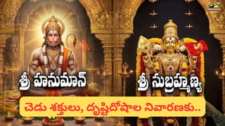 ఫాల్గుణ మాస మంగళవారం ఆధ్యాత్మిక ప్రాధాన్యత.. ఏ దేవుడిని పూజిస్తే ఎలాంటి ఫలితం వస్తుందో తెలుసా..?