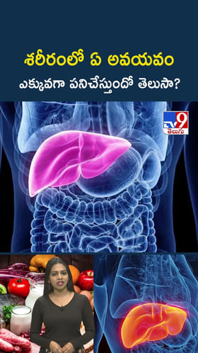 శరీరంలో అత్యధికంగా పనిచేసే అవయవం ఇదే..