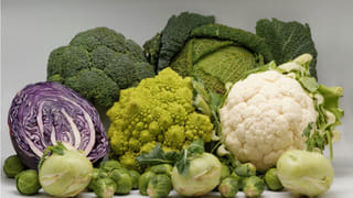 Earbuds to clean Earwax: మీరూ ఇయర్‌ బర్డ్స్‌తో చెవి శుభ్రం చేస్తున్నారా? ఐతే మీరీ విషయం చెప్పాల్సిందే