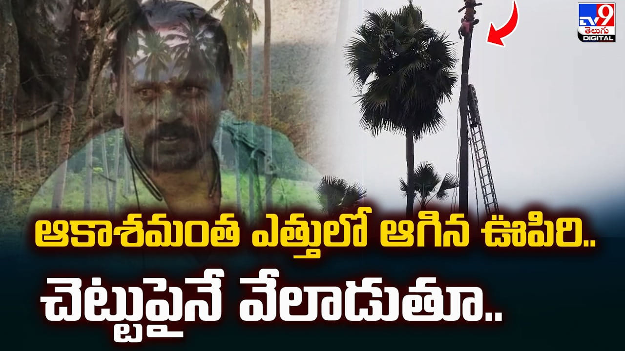 ఆకాశమంత ఎత్తులో ఆగిన ఊపిరి.. చెట్టుపైనే వేలాడుతూ..